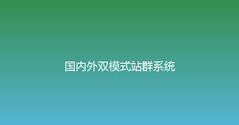 国内外双模式站群系统 封面图