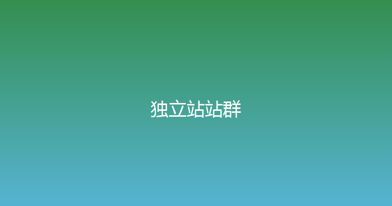 独立站站群 封面图