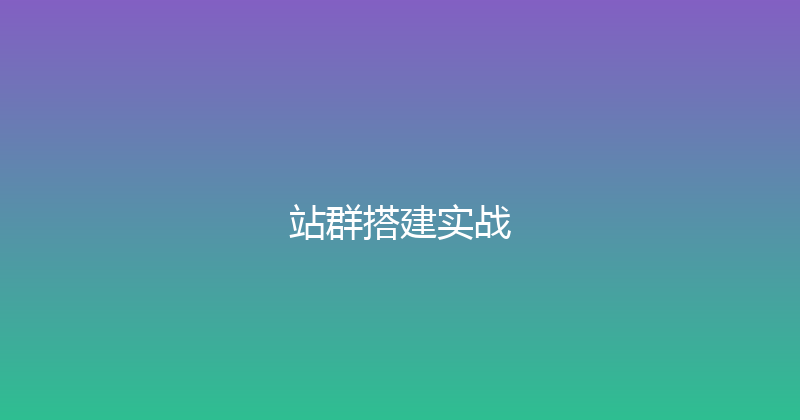 站群搭建实战 封面图
