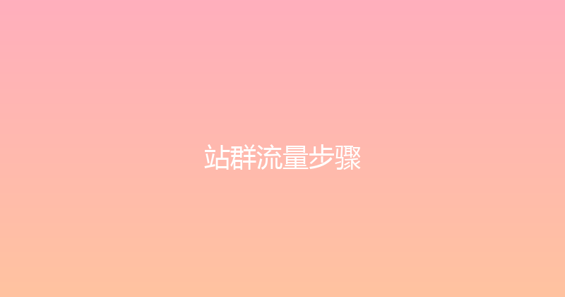 站群流量步骤 封面图